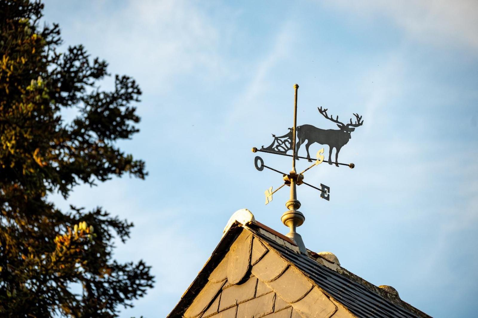 Le Mouton Bed and Breakfast Blaison Exteriör bild